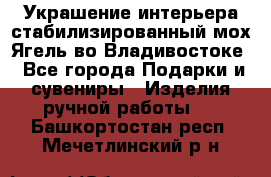 Украшение интерьера стабилизированный мох Ягель во Владивостоке - Все города Подарки и сувениры » Изделия ручной работы   . Башкортостан респ.,Мечетлинский р-н